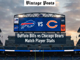 buffalo bills vs chicago bears match player stats